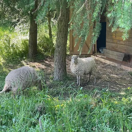 Apartament L Hirondelle