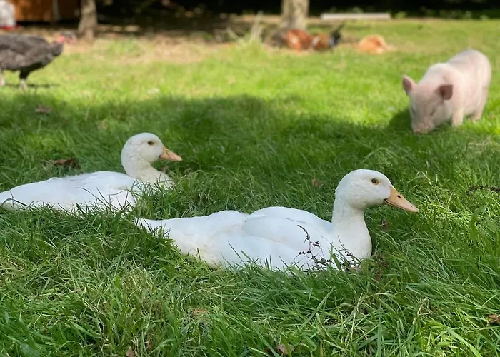 Apartment L Hirondelle Commes