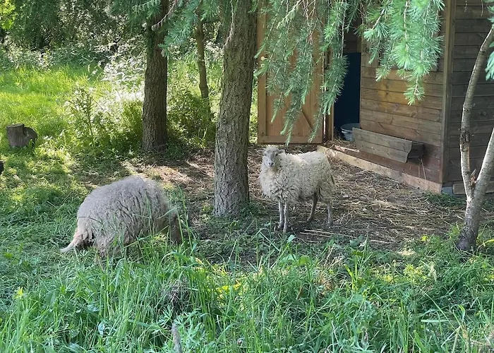 Apartment L Hirondelle